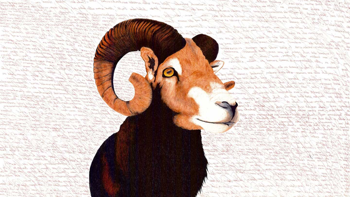 Bild von Wolfgang Kaliga mit einem Steinbock mit Spiegelschrift im Hintergrund